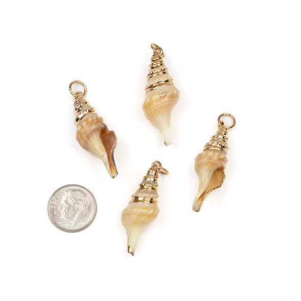 Natural Turris Shell approx. 14x36mm Pendants with Electroformed Gold Accents - 4 per bag