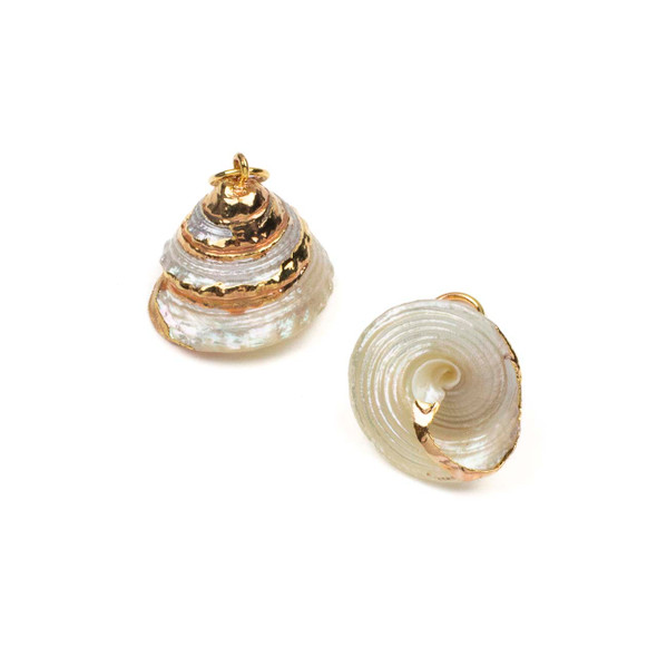 Natural Trichus Shell approx. 20x24mm Pendants with Electroformed Gold Accents - 4 per bag