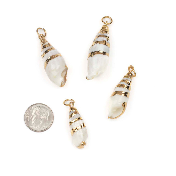 Natural White Bullia Shell approx. 13x42mm Pendants with Electroformed Gold Accents - 4 per bag