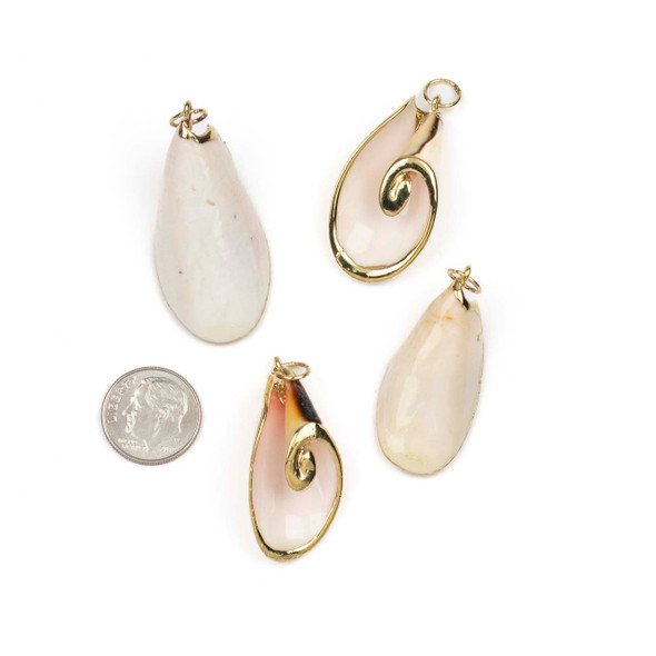 Natural Strawberry Conch Shell approx. 15-20x32-38mm Pendants with Electroformed Gold Accents - 4 per bag