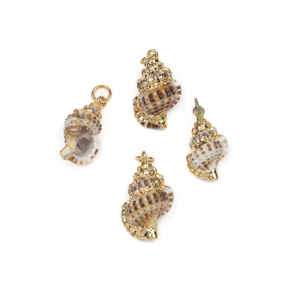 Natural Hairy Triton Shell approx. 13-18x24-30mm Pendants with Electroformed Gold Accents - 4 per bag