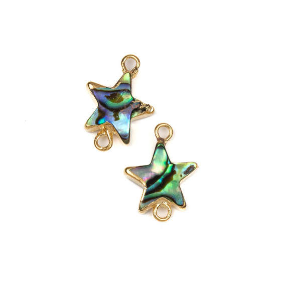 Abalone Paua Shell approx. 13x18mm Star Links with Gold Edges and Loops - 2 per bag
