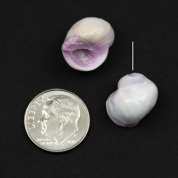 Mississippi River Purple Shell approx. 12x15mm Pendants - Half/Partially Drilled,  2 per bag