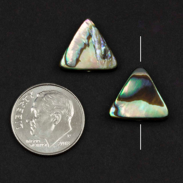 Abalone Paua Shell 13x14mm Triangle Pendants - 2 per bag