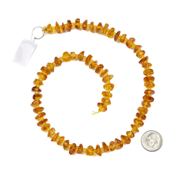 Cherry Tree Beads Amber approx. 3-4x7-9mm Nugget Beads - 15 inch strand 