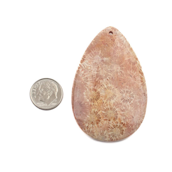 Cherry Tree Beads Fossilized Coral approx. 41x65mm Top Front Drilled Teardrop Pendant - 1 per bag 
