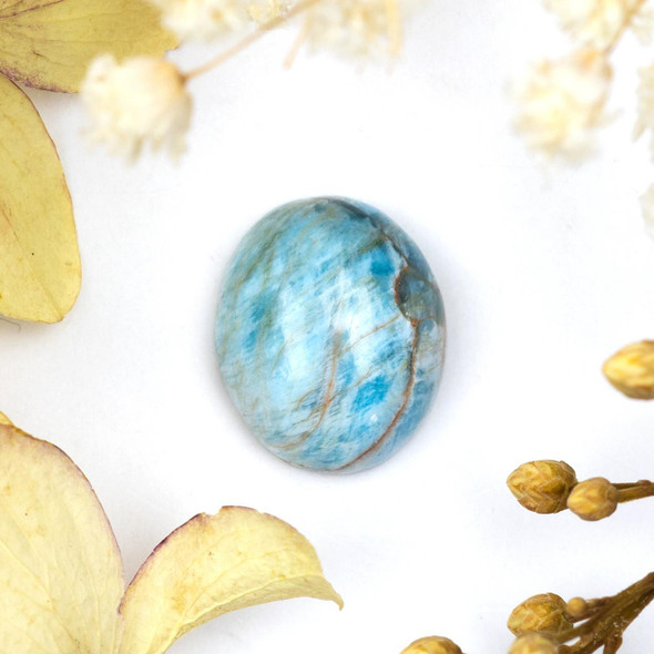 Cherry Tree Beads Apatite 10x12mm Oval Cabochon - 1 per bag 