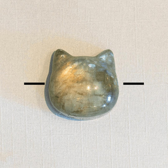 Cherry Tree Beads 15mm gemstone cat head bead shown next to a coin for size reference
