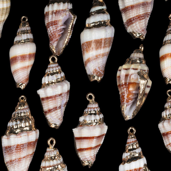 Cherry Tree Beads 15x37mm Cerith Shell Pendant with Gold Accents - 2 per bag 