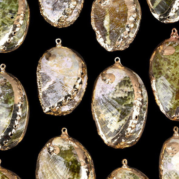 Cherry Tree Beads 26x41mm Natural Green Abalone Shell Pendants with Electroformed Gold Accents 