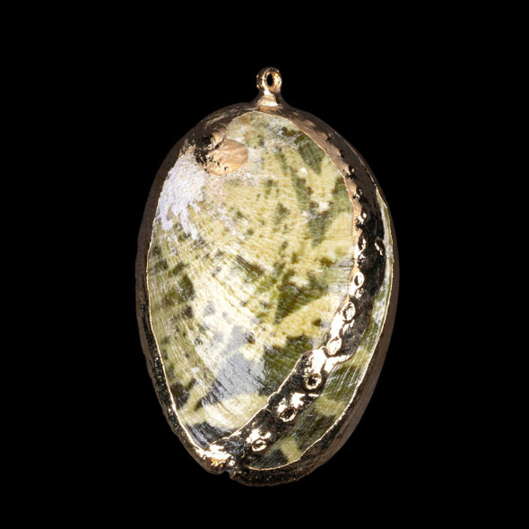 Cherry Tree Beads 26x41mm Natural Green Abalone Shell Pendants with Electroformed Gold Accents 
