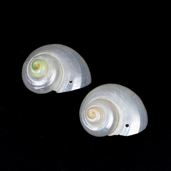 Cherry Tree Beads White Turbo Shell Approx. 17x19mm Pendant - 2 per bag 
