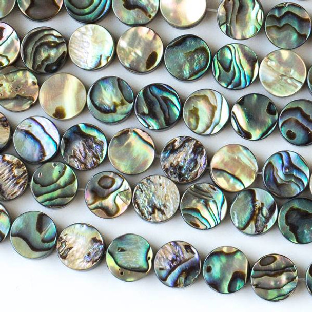 Abalone Paua Shell 10mm Coin Beads - 16 inch strand