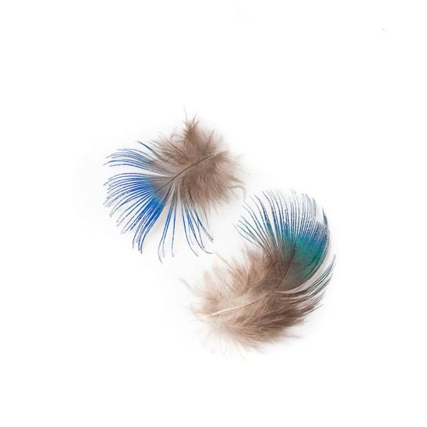 Peacock Tipped Brown Feathers, 2 inches, 2 per bag - #2-7