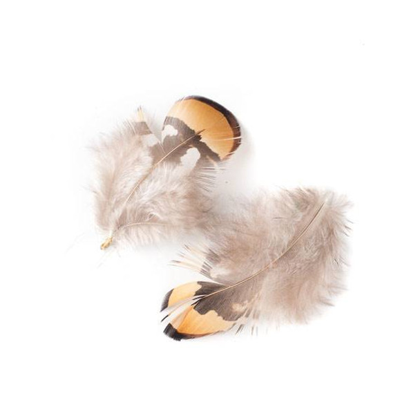 Brown and Grey Feathers, 3 inches, 2 per bag - #2-9
