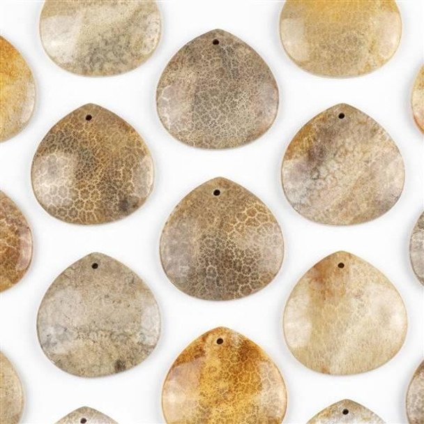 Cherry Tree Beads Fossilized Coral 40mm Top Front to Back Drilled Almond Pendant with a Flat Back - 1 per bag 