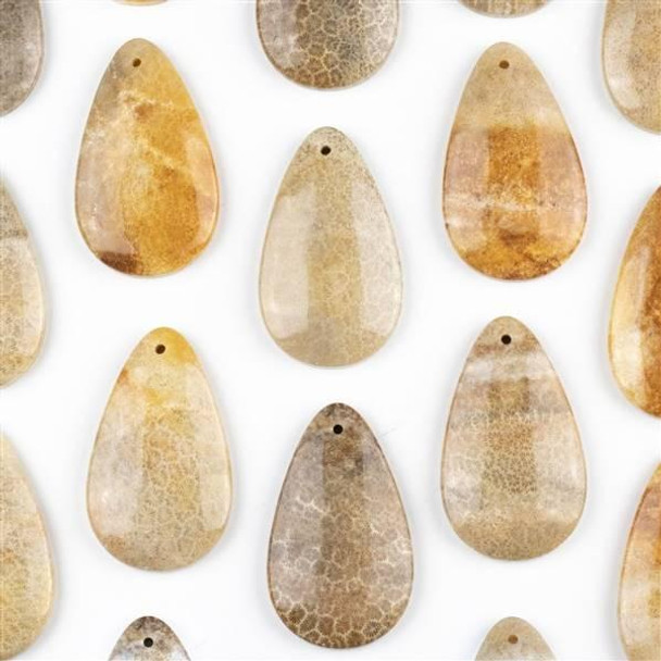 Cherry Tree Beads Fossilized Coral 30x50mm Top Front to Back Drilled Teardrop Pendant with a Flat Back - 1 per bag 