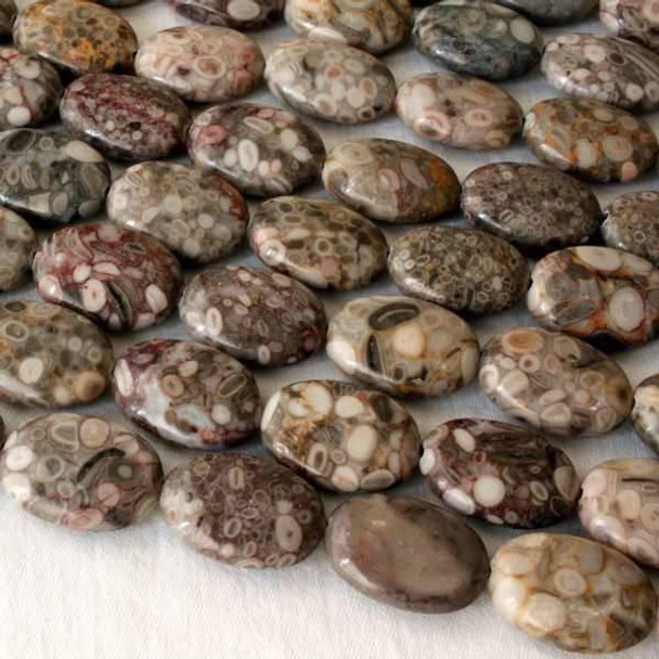 Cherry Tree Beads Fossilized Shell Jasper 13x18mm Oval 