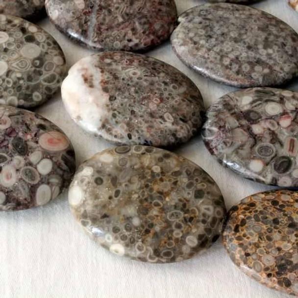 Cherry Tree Beads Fossilized Shell Jasper 30x40mm Oval  Cherry Tree Beads Fossilized Shell Jasper 30x40mm Oval