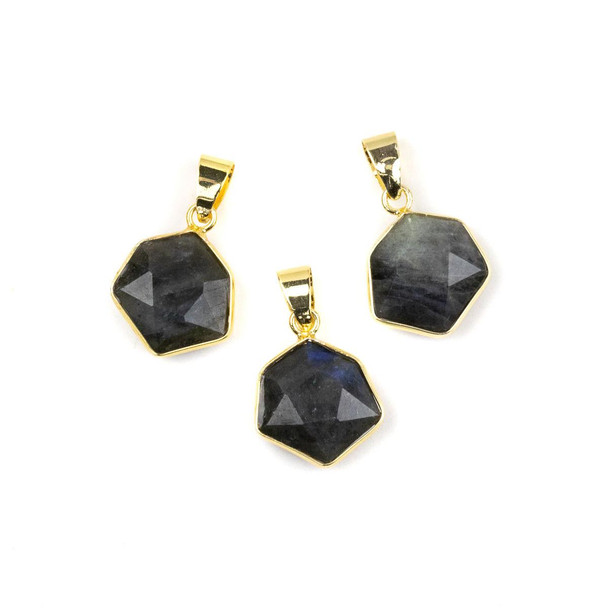 Cherry Tree Beads Labradorite 15x24mm Faceted Irregular Hexagon Pendant with Gold Plated Bezel and Bail - 1 per bag 