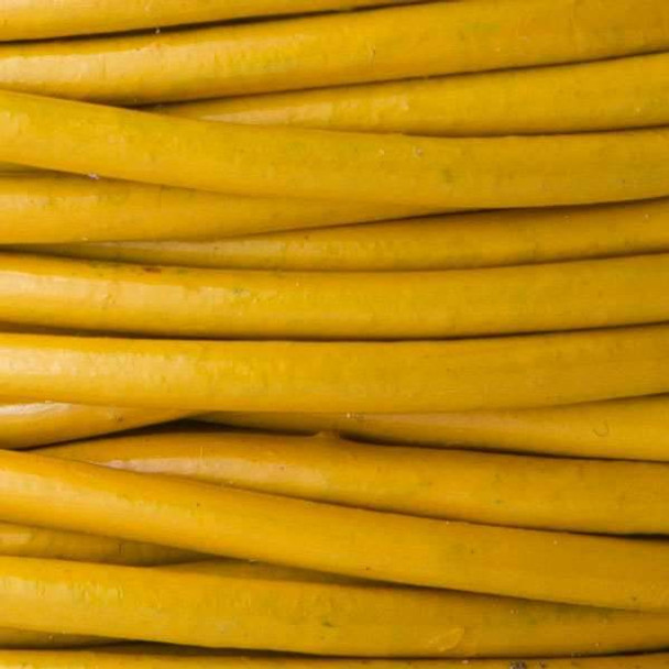 2mm Mustard Yellow Leather Cord - 1 yard