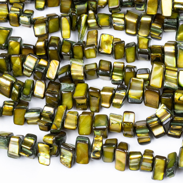 Dyed Shell 5x8-10mm Golden Green Brown Slice Beads - 15 inch strand