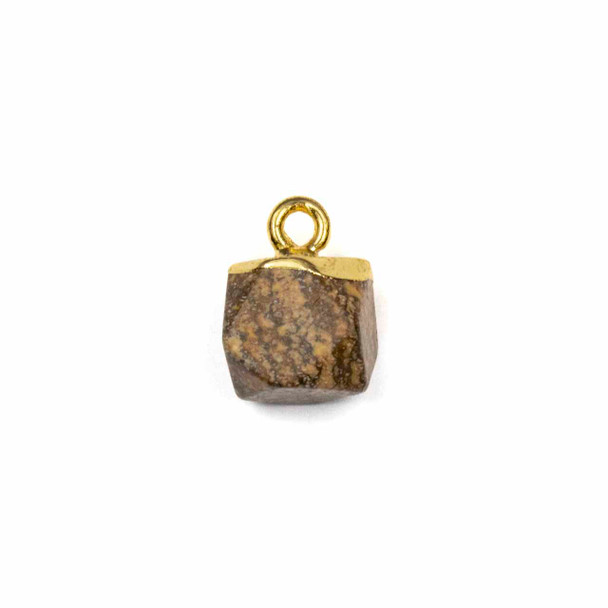 Picture Jasper 8x12mm Hexagon Pendant with Gold Plated Brass Cap and Loop - 1 per bag