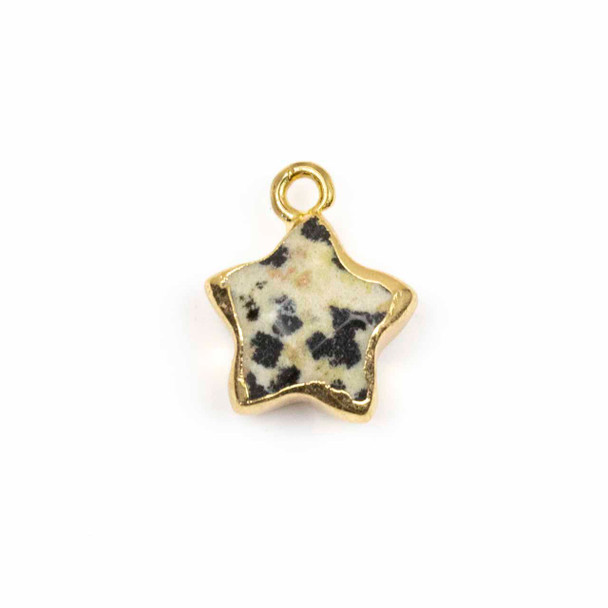 Dalmatian Jasper 12x15mm Star Pendant with Gold Plated Brass Edges and Loop - 1 per bag
