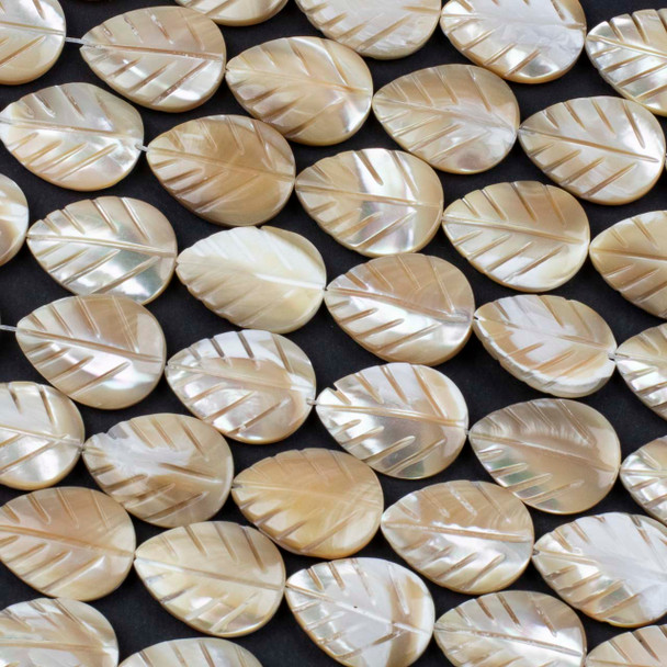Mother of Pearl 15x20mm Tan Carved Leaf Beads - 16 inch strand