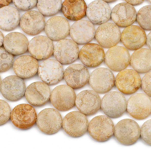 Fossilized Coral 16mm Coin Beads - 16 inch strand