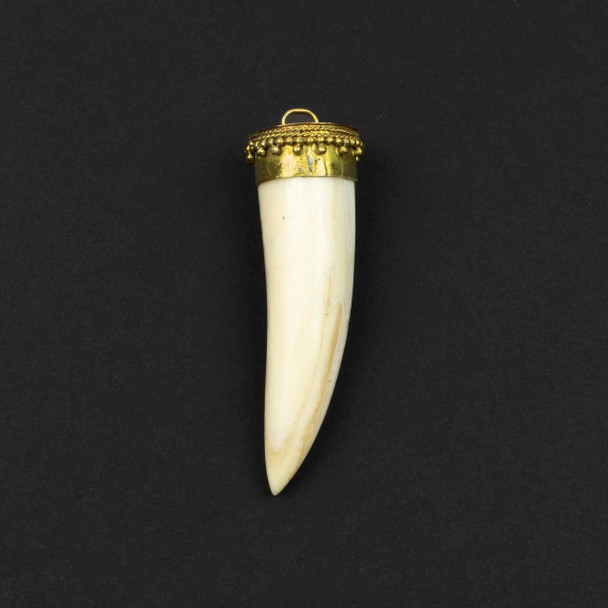 Cherry Tree Beads 22x72mm bone horn-shaped pendant with decorative brass cap, 1 piece per bag.