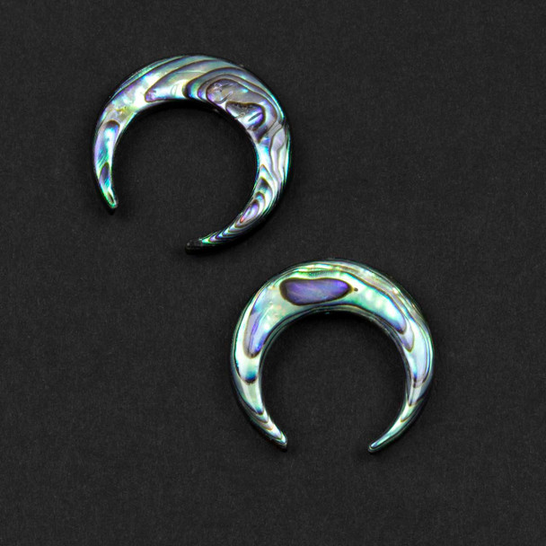 Cherry Tree Beads Abalone Paua Shell 20mm Vertical Drilled Crescent Moon Tiny Beads - 2 pieces 