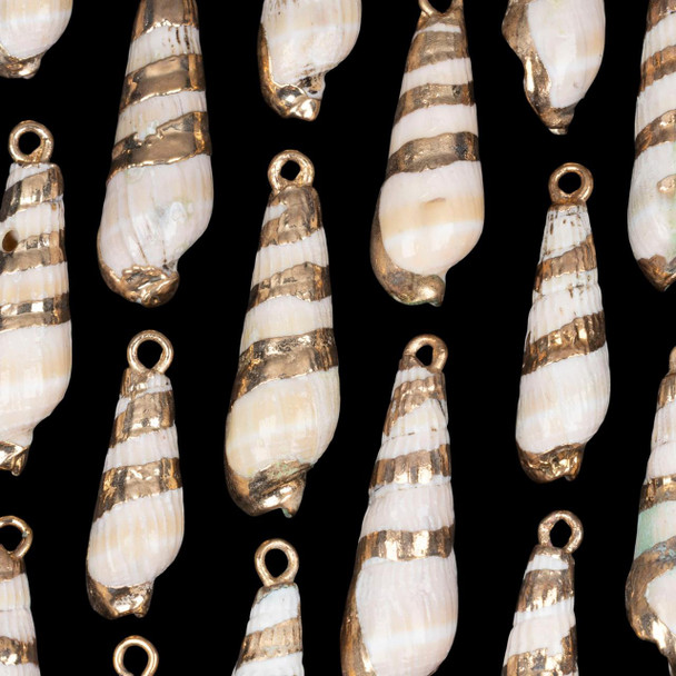 Cherry Tree Beads 6x25mm Natural Striped Cone Shell Pendants with Electroformed Gold Accents - 2 per bag 