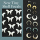 Tiny Shell Focals