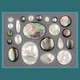 Shell Cabochons