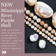 New Mississippi River Purple Shell