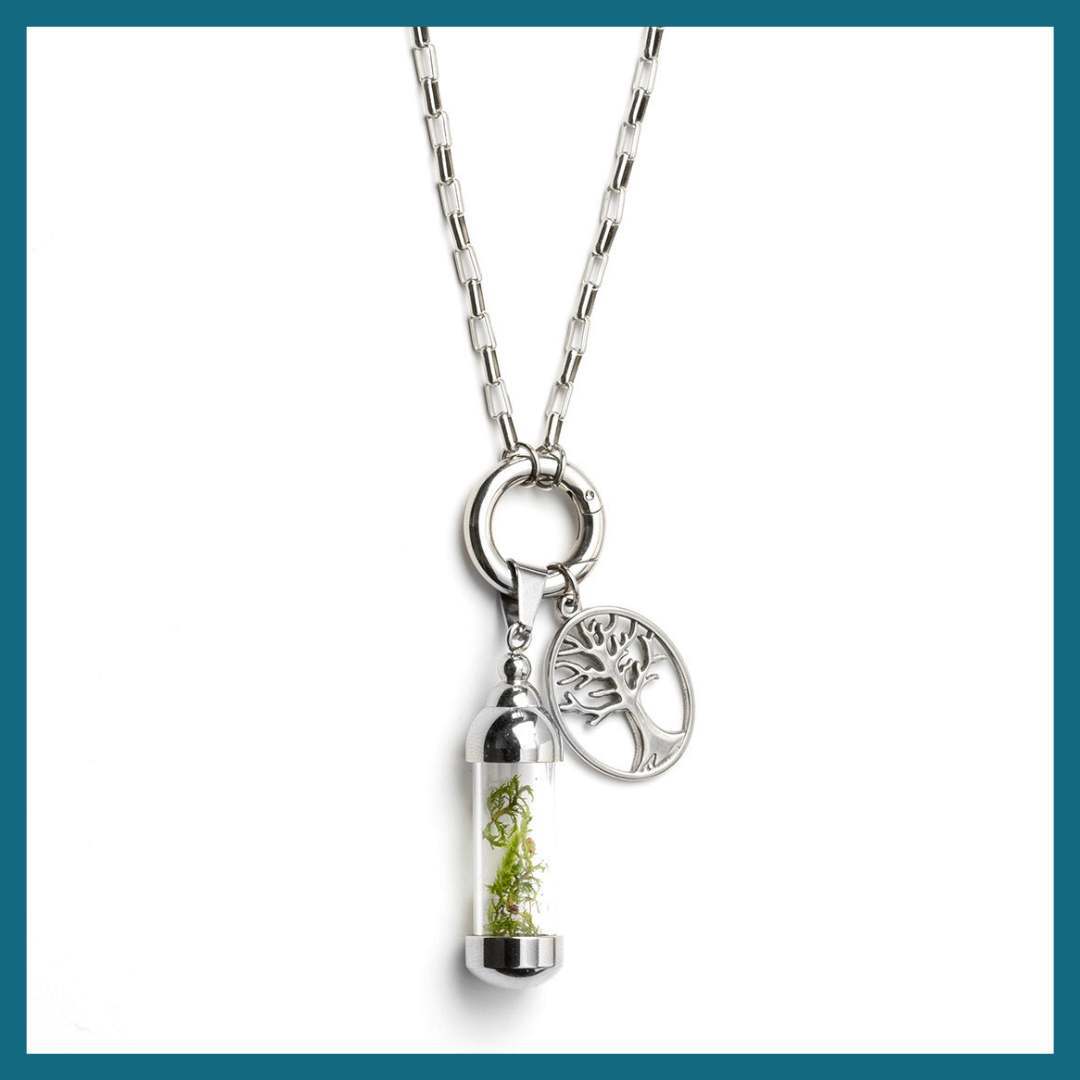 Stainless Steel Nature Keepsake Necklace Stainless Steel Nature Keepsake Necklace