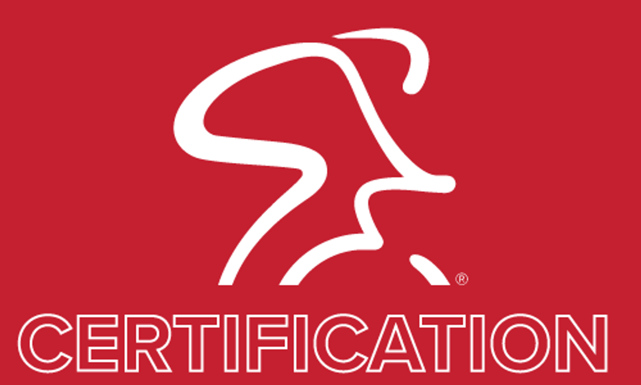 Rockstar Spinning® Instructor Certification Online - Spinning®