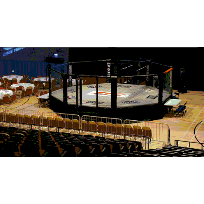 PROFESSIONAL 20&rsquo; X 20&rsquo; MMA HEXAGON CAGE