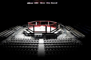 Hexagon MMA Cages