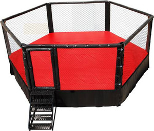 PRO MMA RING