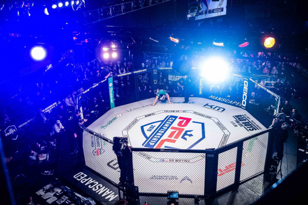 30' X 30' Decagon MMA Cage