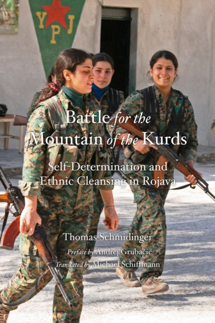 The Battle for the Mountain of the Kurds: Self-Determination and Ethnic ...