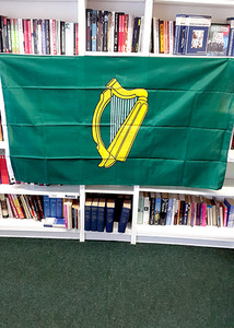 Leinster province flag Leinster province flag