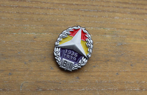 Brigadas Internacionales 3D badge with brooch. Brigadas Internacionales 3D badge with brooch.