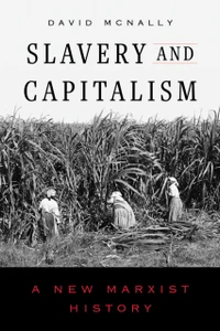 Slavery and Capitalism : A New Marxist History