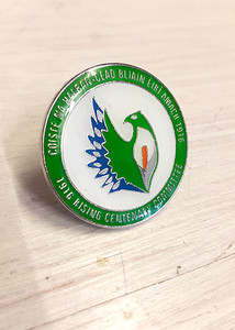 1916 Commemoration Anniversary Committee ALBA Badge 1916 Commemoration Anniversary Committee ALBA Badge