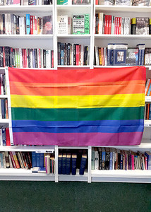 Pride (LGBTQIA+) Rainbow Flag Pride (LGBTQIA+) Rainbow Flag