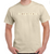 Originals AntiFascist sand colour t-shirt