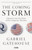 The Coming Storm : Inside America’s Radical New Politics of Paranoia